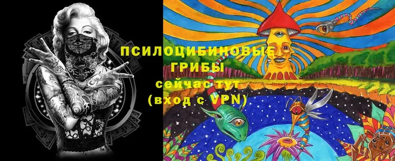 Галлюциногенные грибы MAGIC MUSHROOMS  shop Telegram  Агидель  где купить наркоту 